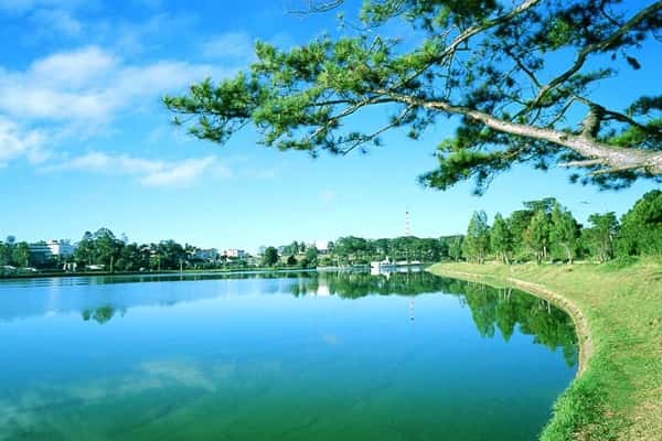 Check In Ho Than Tho