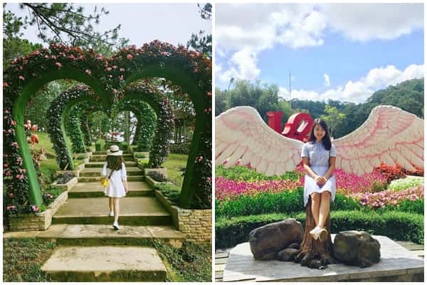 Check In Thung Lung Tinh Yeu