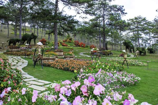 Thung Lung Tinh Yeu Da Lat