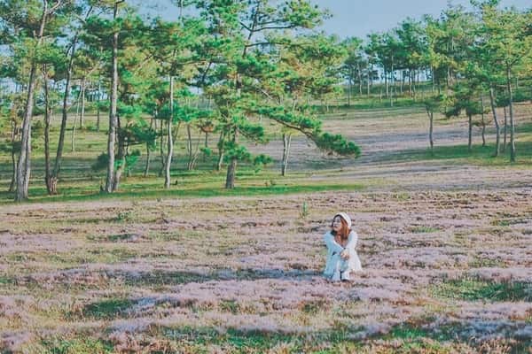 Check In Co Hong Da Lat