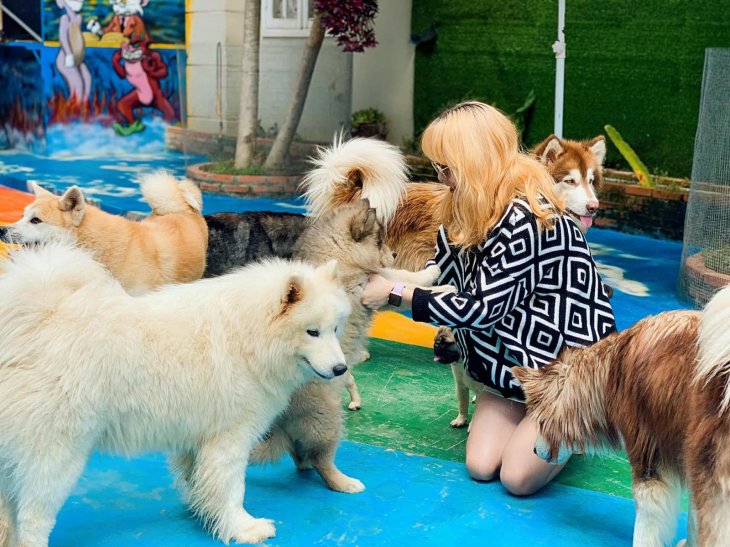 119171948 2764158287136218 325802989557278278 O