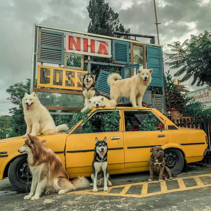 120948355 2789911841227529 3342617302138232884 O