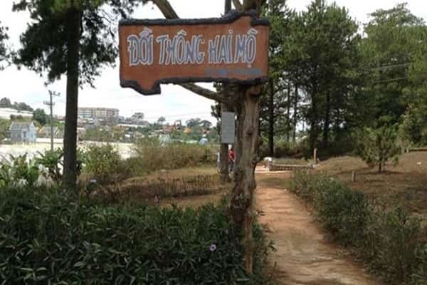 Doi Thong Hai Mo O Da Lat