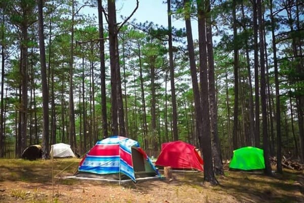 Zoodoo Da Lat Cam Trai