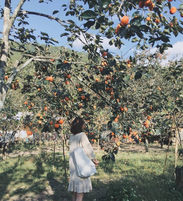 117391464 343913297000225 7749527044488979432 O