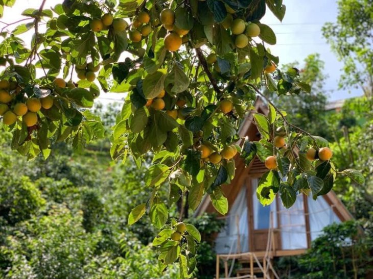 118702182 610268889646965 3698571649753319499 N