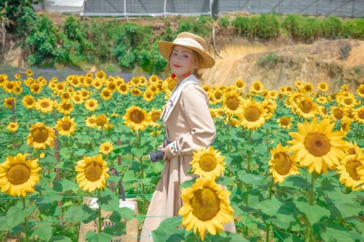 118822522 104269341421084 5110837448758407858 O