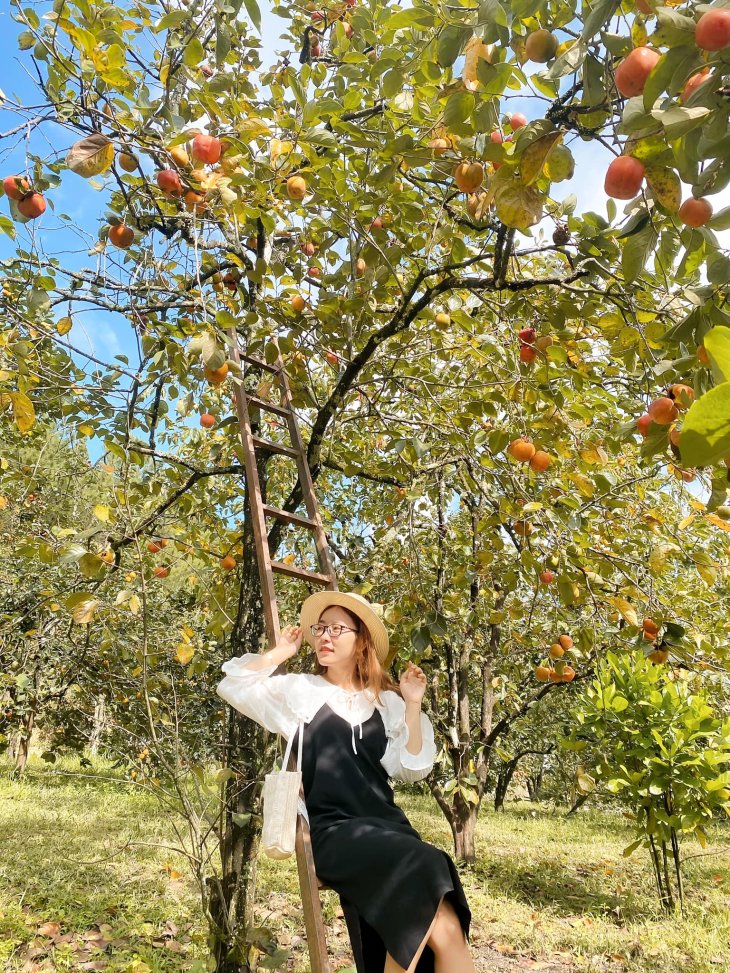 122425291 3325058770940355 3446249301246756724 O