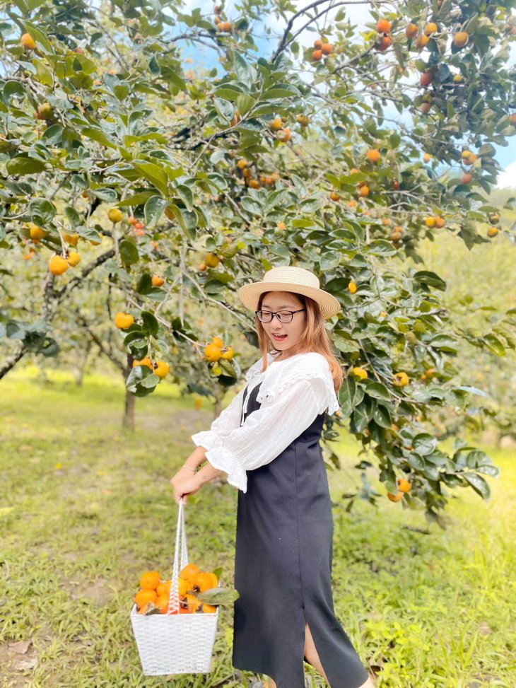 122517538 3325056604273905 993886090361314679 O