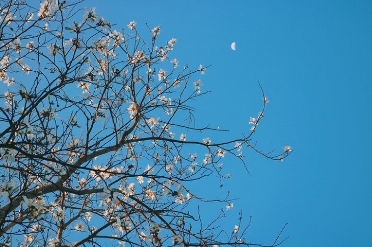 28158146 1727972160594557 6003002079390466048 N 9b