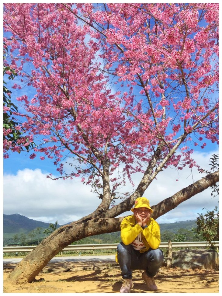 81383935 586962358806479 3856403516775989248 O