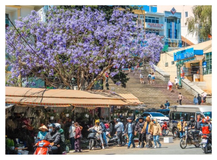 85160230 623684711800910 6303431103260655616 O