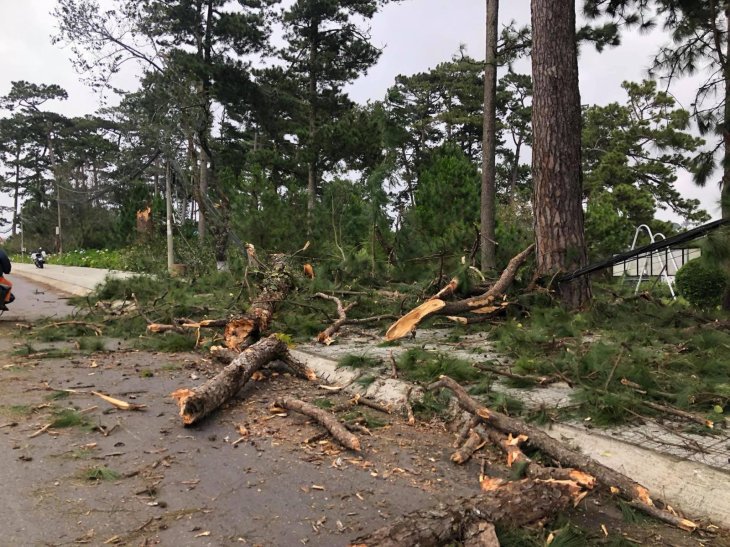 122713977 1049658932144882 3383176121244743905 O