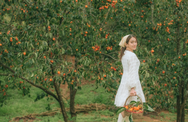 Vuon Hong Doi Che Cau Dat