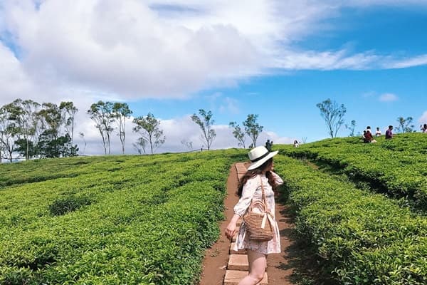 Dia Chi Doi Che Cau Dat Da Lat