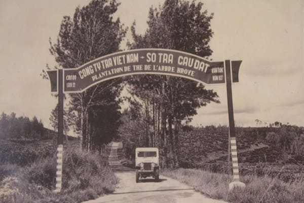 Du Lich Cau Dat Da Lat