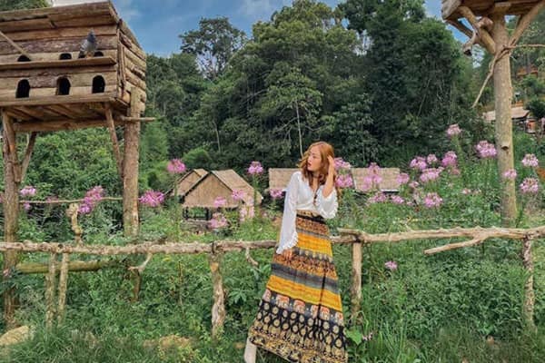 Hoa Son Dien Trang 2020