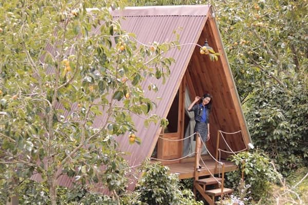 Homestay Cau Dat Da Lat