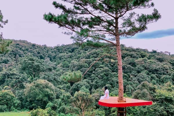 Kdl Hoa Son Dien Trang Da Lat