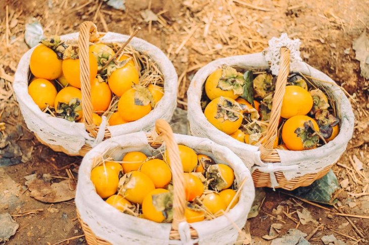 74570758 3474006839291300 7370501584624549888 O