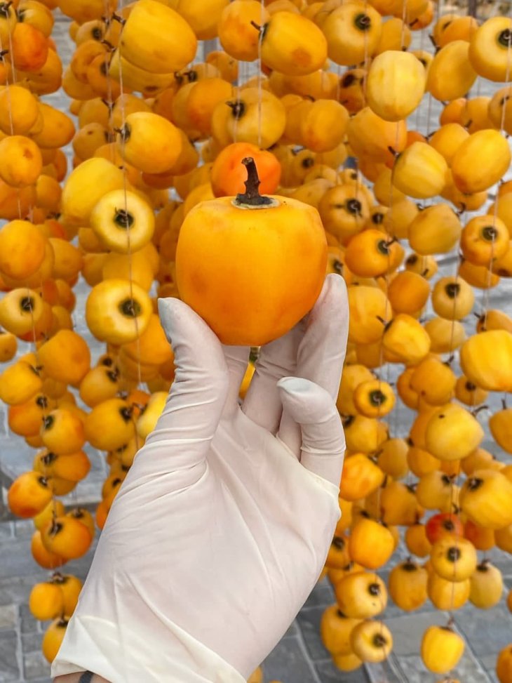 Photo 2020 11 05 15 22 26