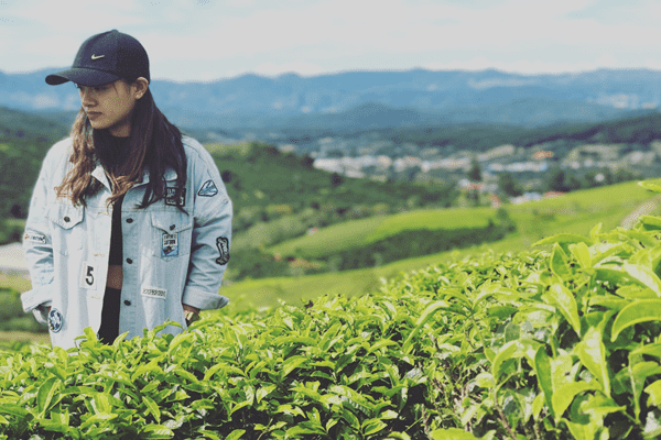 Dia Chi Doi Che Cau Dat