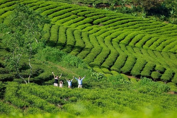 Doi Che Cau Dat Farm