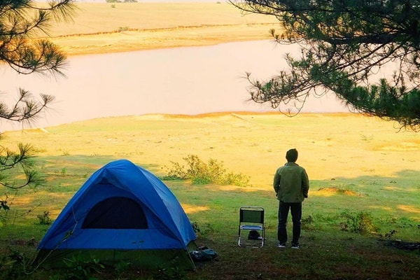Cam Trai Suoi Vang Da Lat