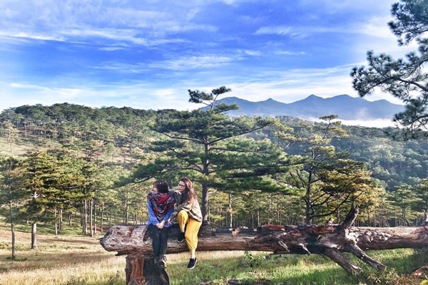 Suoi Vang Da Lat Co Gi