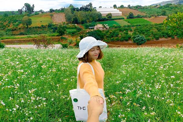 Canh Dong Hoa Cai Trang