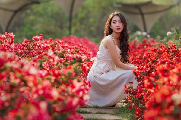 F Canh Dong Hoa Da Lat