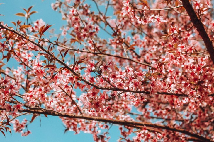 124523805 2587438061531183 137989529238433340 O