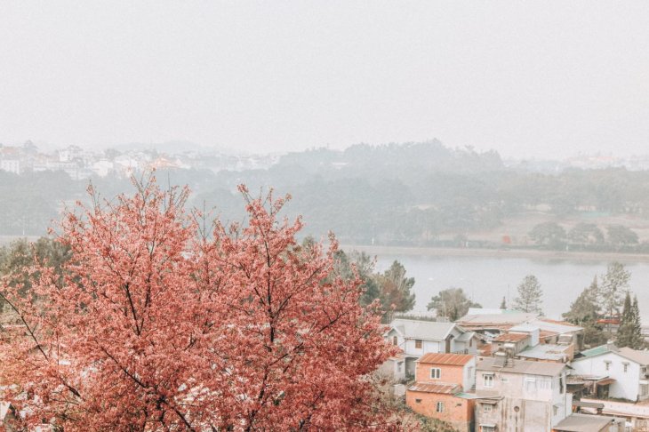 124815647 2587437878197868 2256880314175948029 O