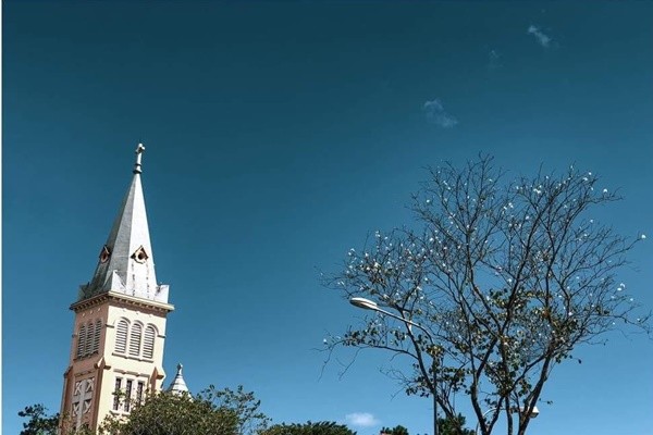 Ban trắng chớm nở tháng 12