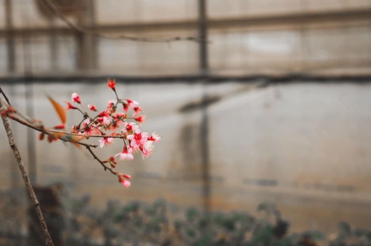 Photo 2020 11 19 11 50 29