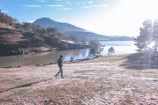 Đồi cỏ hồng bạt ngàn đẹp