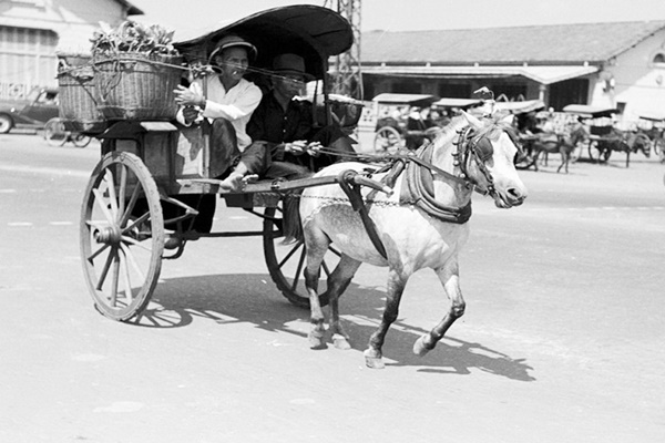 Thời đó, xe ngựa là phương tiện chuyên dụng