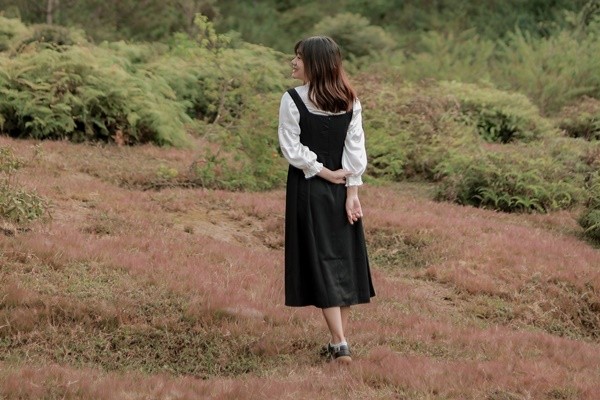 Cỏ hồng được dịp khoe sắc vào cuối năm