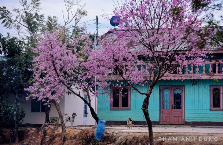 83145018 486714058916272 4808737820887744512 O