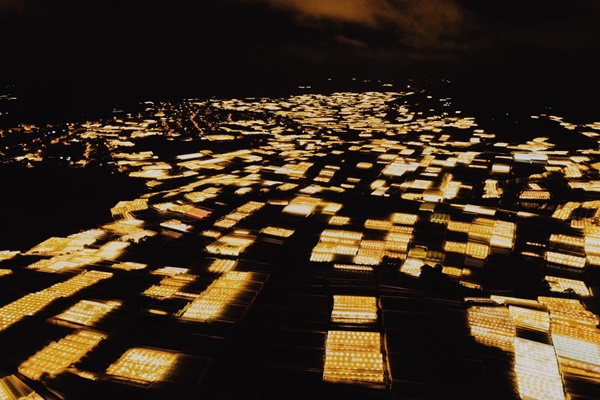 Lang Hoa Thai Phien Ban Dem