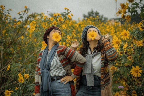 Loài hoa dại nhưng vẫn rực rỡ