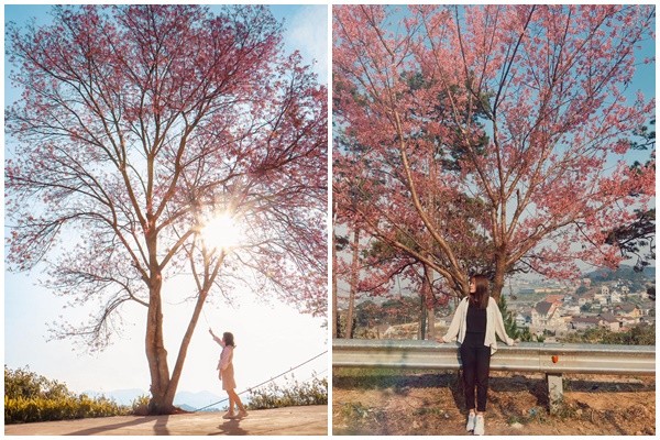 Dấu hiệu năm mới cận kề