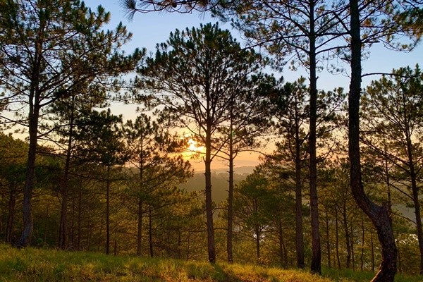 Bất kì khoảnh khắc nào ở đây cũng đều rất đẹp