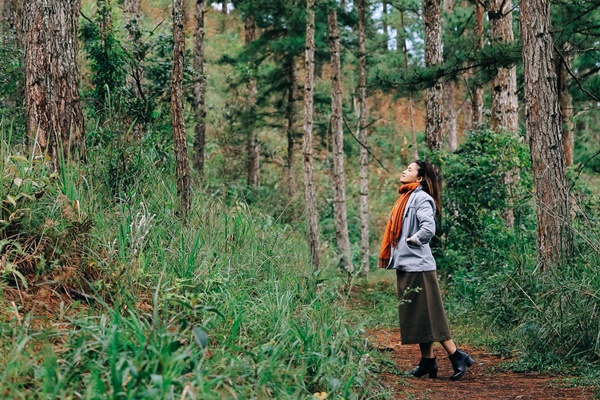 Đà Lạt một mình vẫn vui 