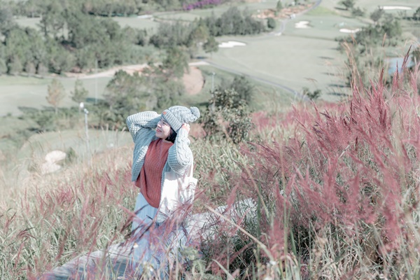 Cỏ đuôi chồn Đà Lạt