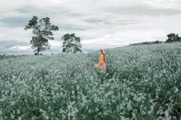 131895631 2505711556399594 5535529631752231435 O