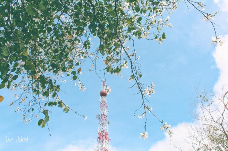 87049210 2841449252570019 4189508364071337984 O