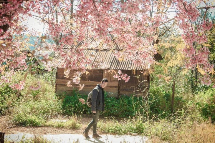 Photo 2020 12 29 12 11 59