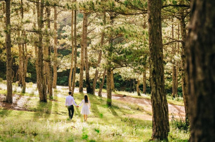 127922338 830596461109733 5580145133238366640 O