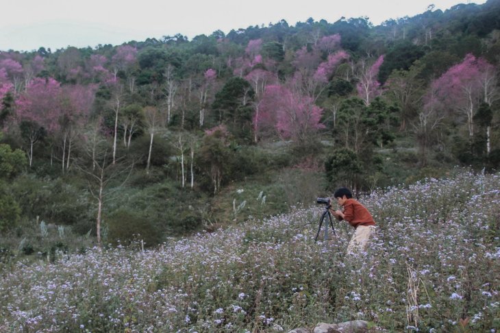 132647701 3384775844985010 1687080841934748481 O